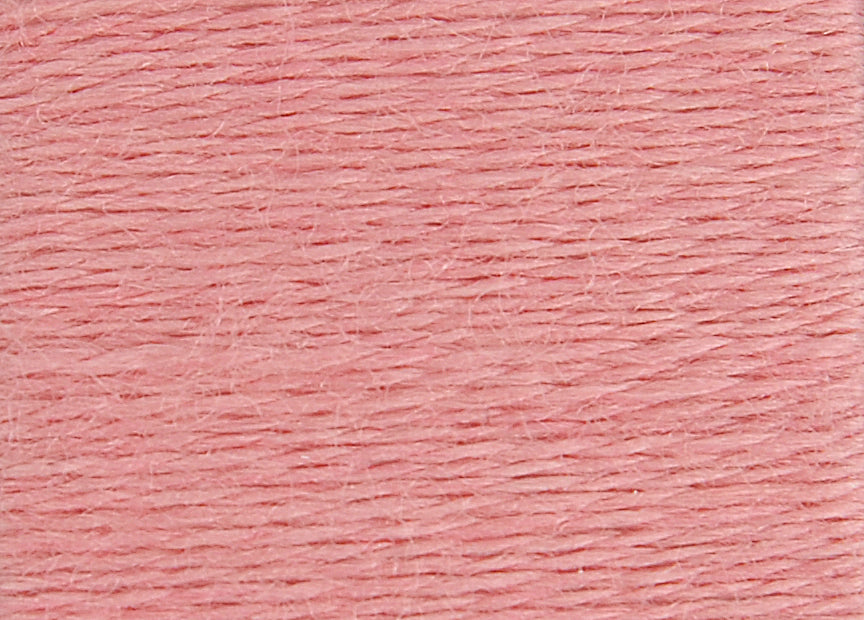 Hilo para Bordar de Lana Orgánica DMC Eco Vita - 402