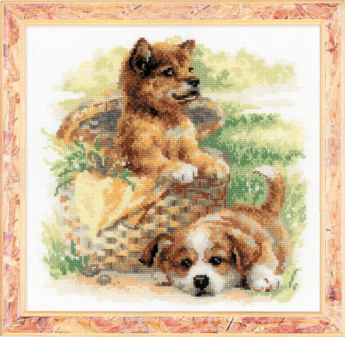 Kit de punto de cruz Riolis Edad Tierna, diseño adorable de dos cachorros (uno en cesta de picnic y otro sobre césped), incluye tela Aida, hilos de algodón y aguja.