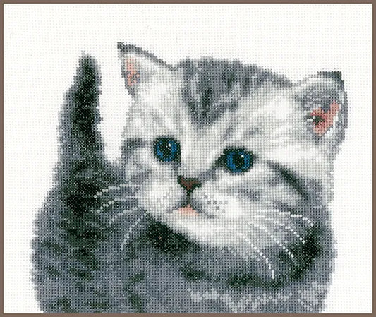 Kit punto de cruz "Gato Gris" - PN0153747