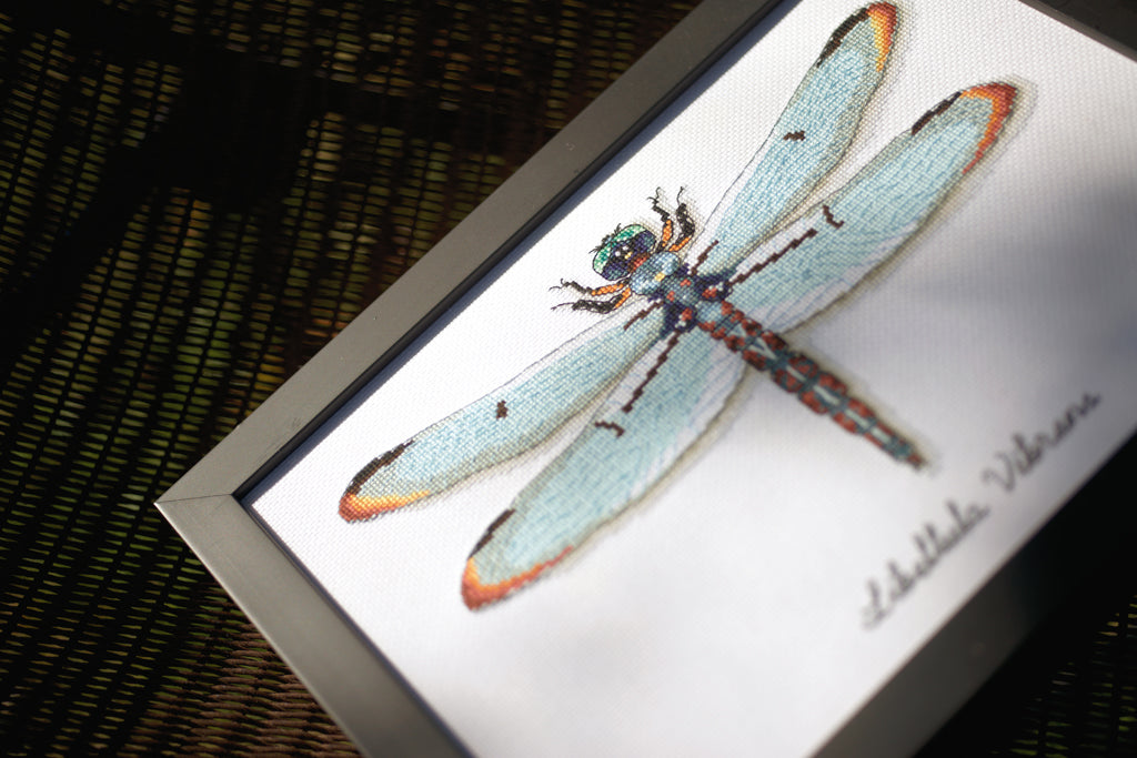 Kit de punto de cruz Vervaco "Libélula" con diseño de Libellula vibrans. Incluye tela Aida 18 ct, hilos DMC y patrón detallado