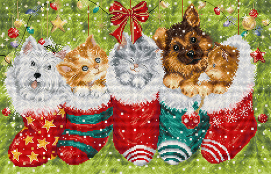 Kit de punto de cruz Letistitch “Perros y Gatos en Calcetín de Navidad” con animales festivos, 52 colores y tela blanca Aida 16ct de alta calidad.