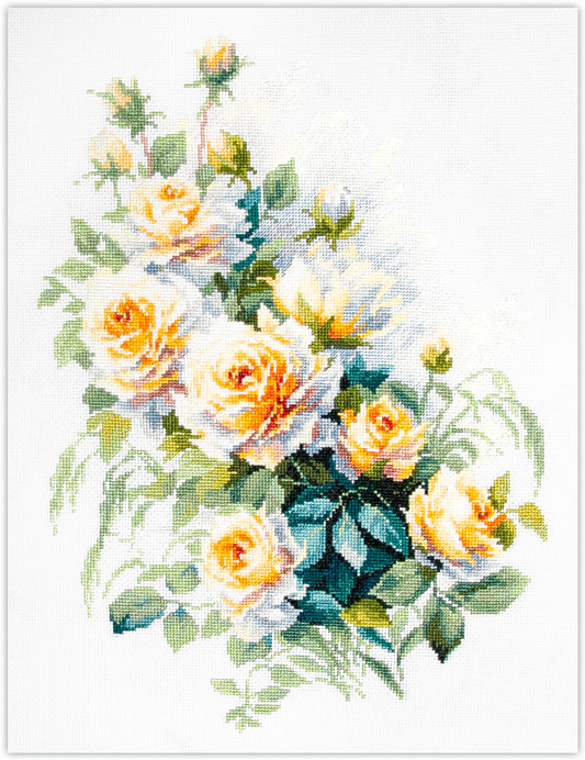 Kit de punto de cruz Magic Needle “The Queen of Flowers” con diseño de rosas blancas con tonos amarillos. Incluye tela Aida, hilos y aguja.