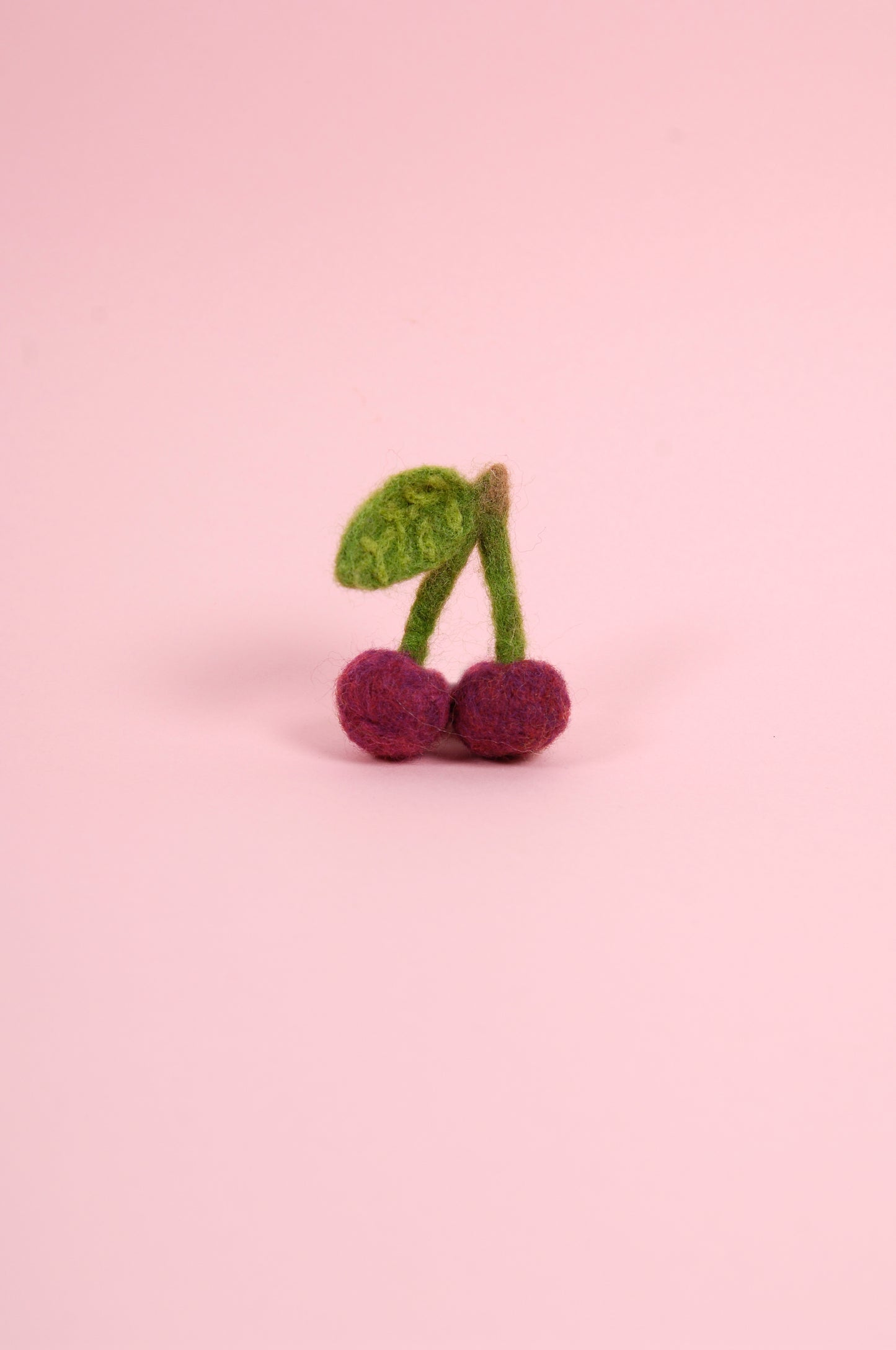 Libro de Inspiración para Fieltrar "Cesta de Frutas" - DMC