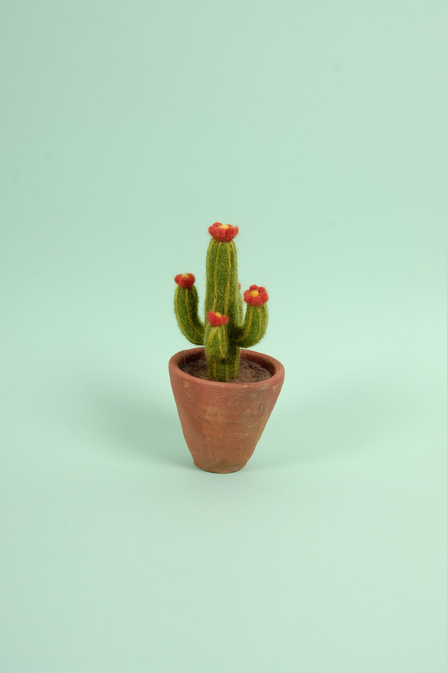 Libro de Inspiración para Fieltrar "Cactus y suculentas" - DMC