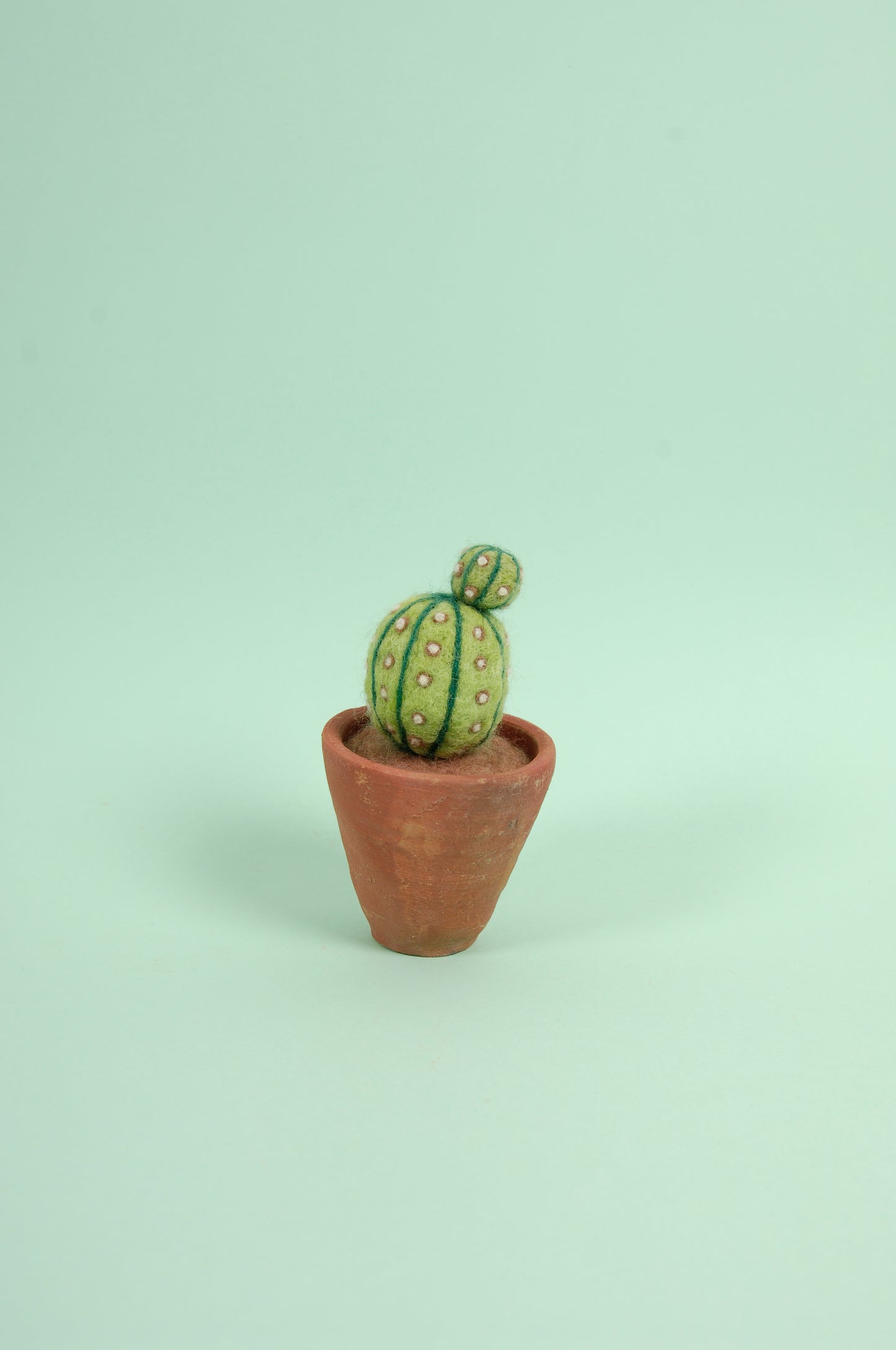 Libro de Inspiración para Fieltrar "Cactus y suculentas" - DMC