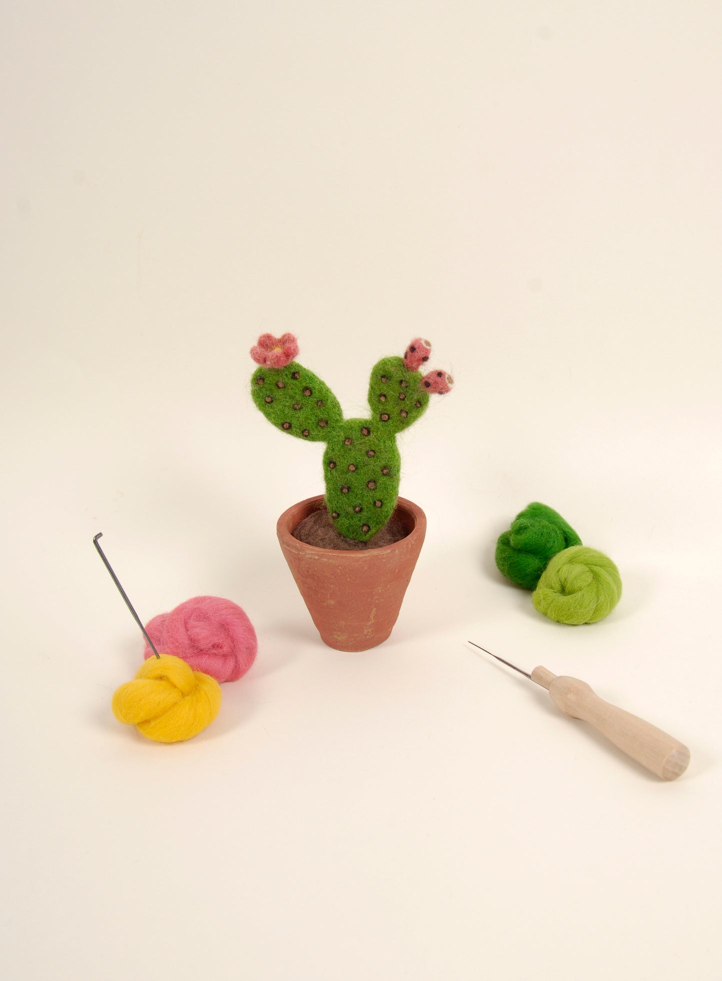 Libro de Inspiración para Fieltrar "Cactus y suculentas" - DMC