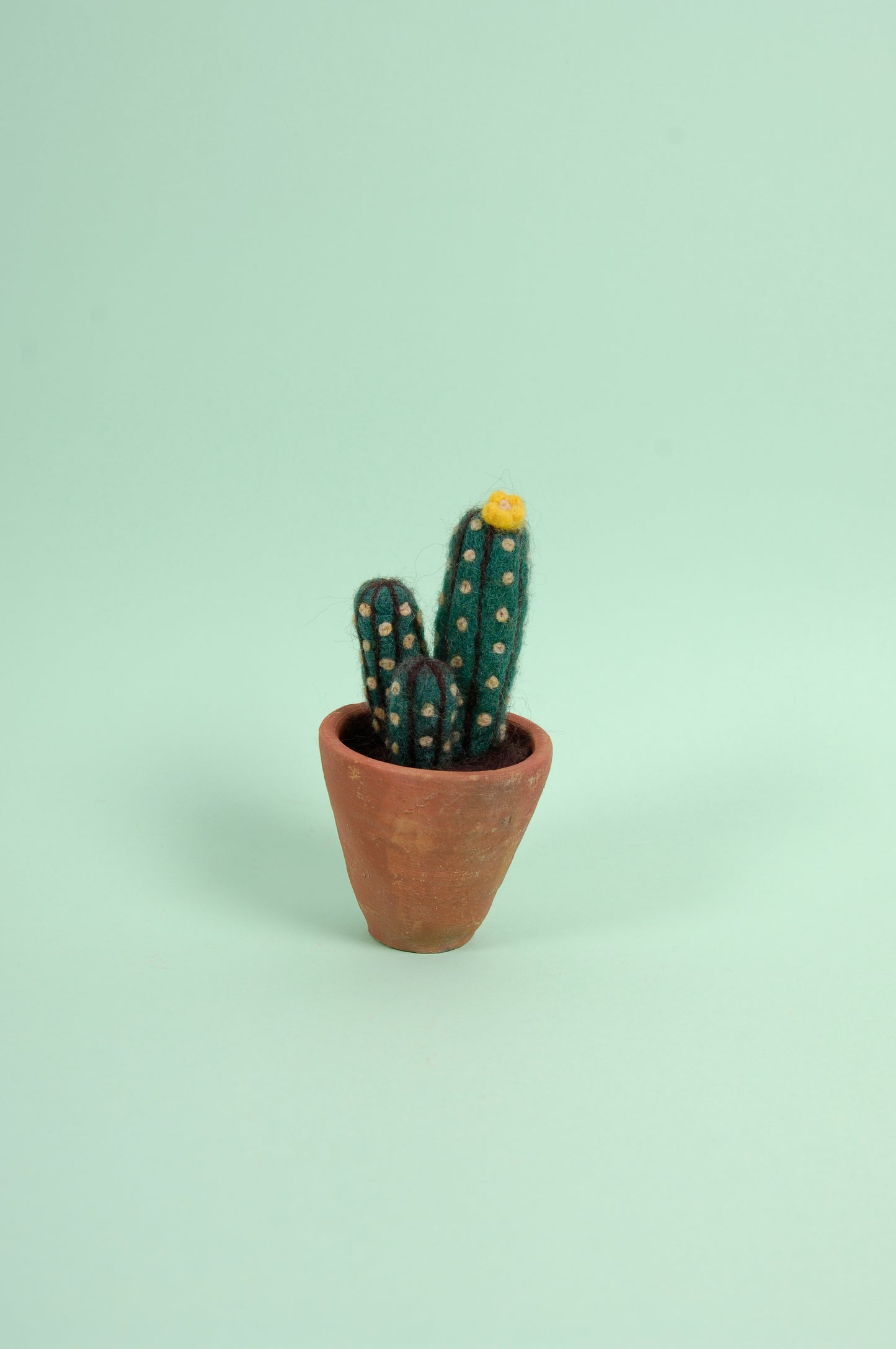 Libro de Inspiración para Fieltrar "Cactus y suculentas" - DMC