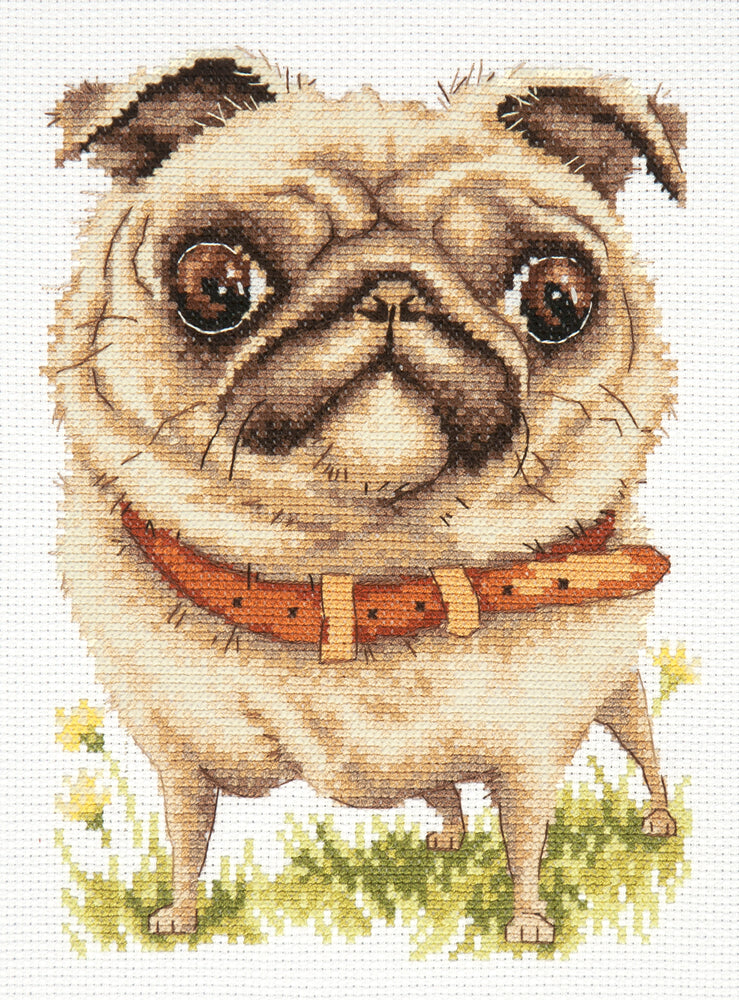 Kit punto de cruz "Pug-dog" 16-17