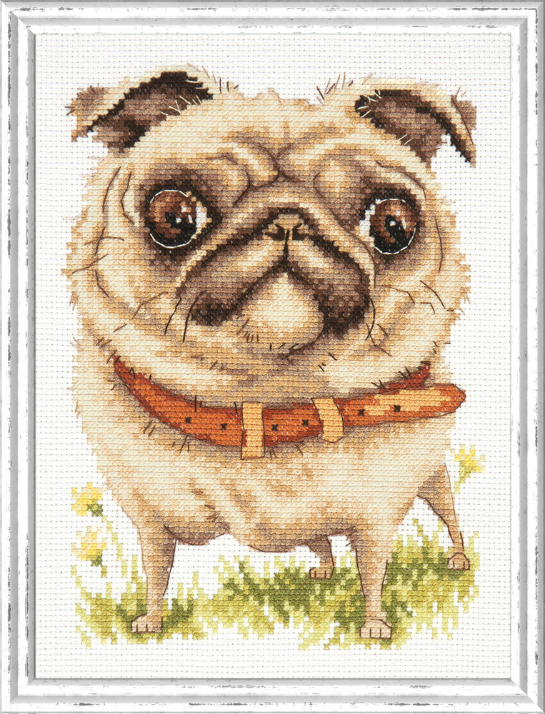 Kit punto de cruz "Pug-dog" 16-17