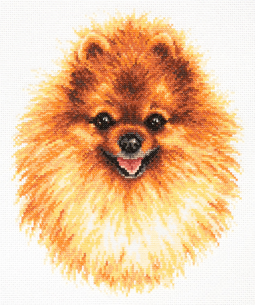Kit punto de cruz "Pomeranian" 59-22