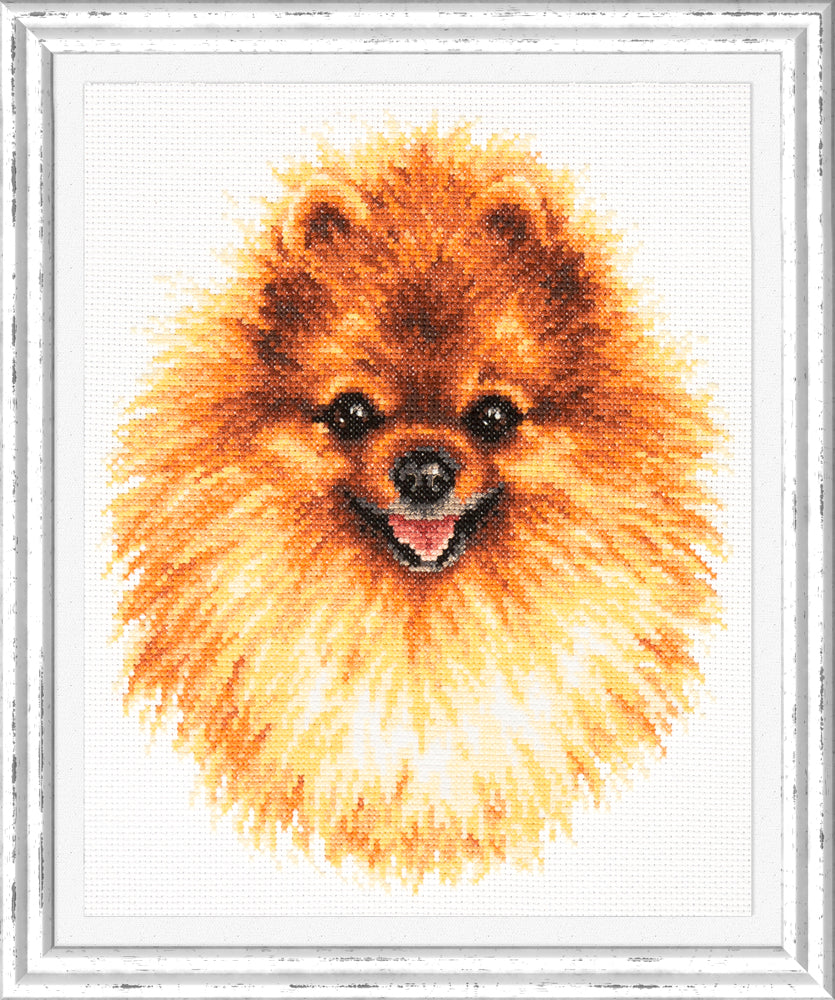 Kit punto de cruz "Pomeranian" 59-22