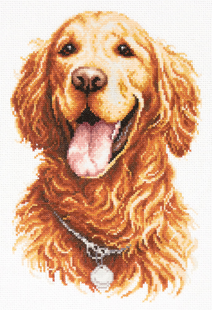 Kit punto de cruz "Golden Retriever" 59-24