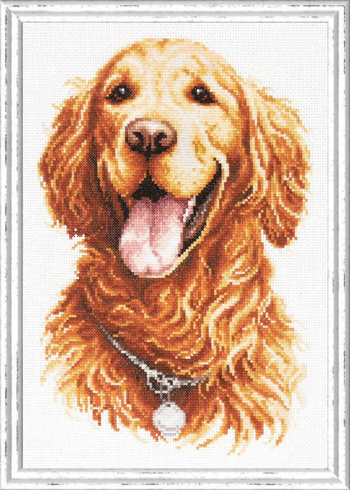 Kit punto de cruz "Golden Retriever" 59-24