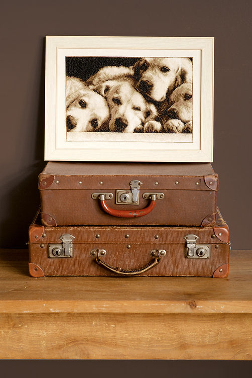 Kit ponto cruz "Labradores" - PN0154541