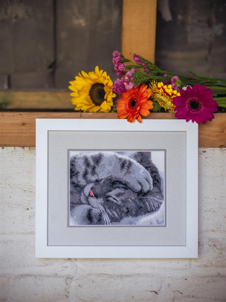 Kit punto de cruz "Cute Kitten" - PN0165499