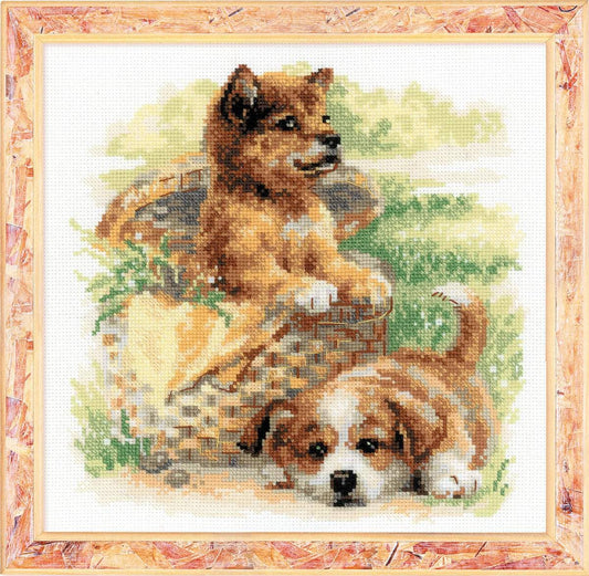 Kit de punto de cruz Riolis Edad Tierna, diseño adorable de dos cachorros (uno en cesta de picnic y otro sobre césped), incluye tela Aida, hilos de algodón y aguja.