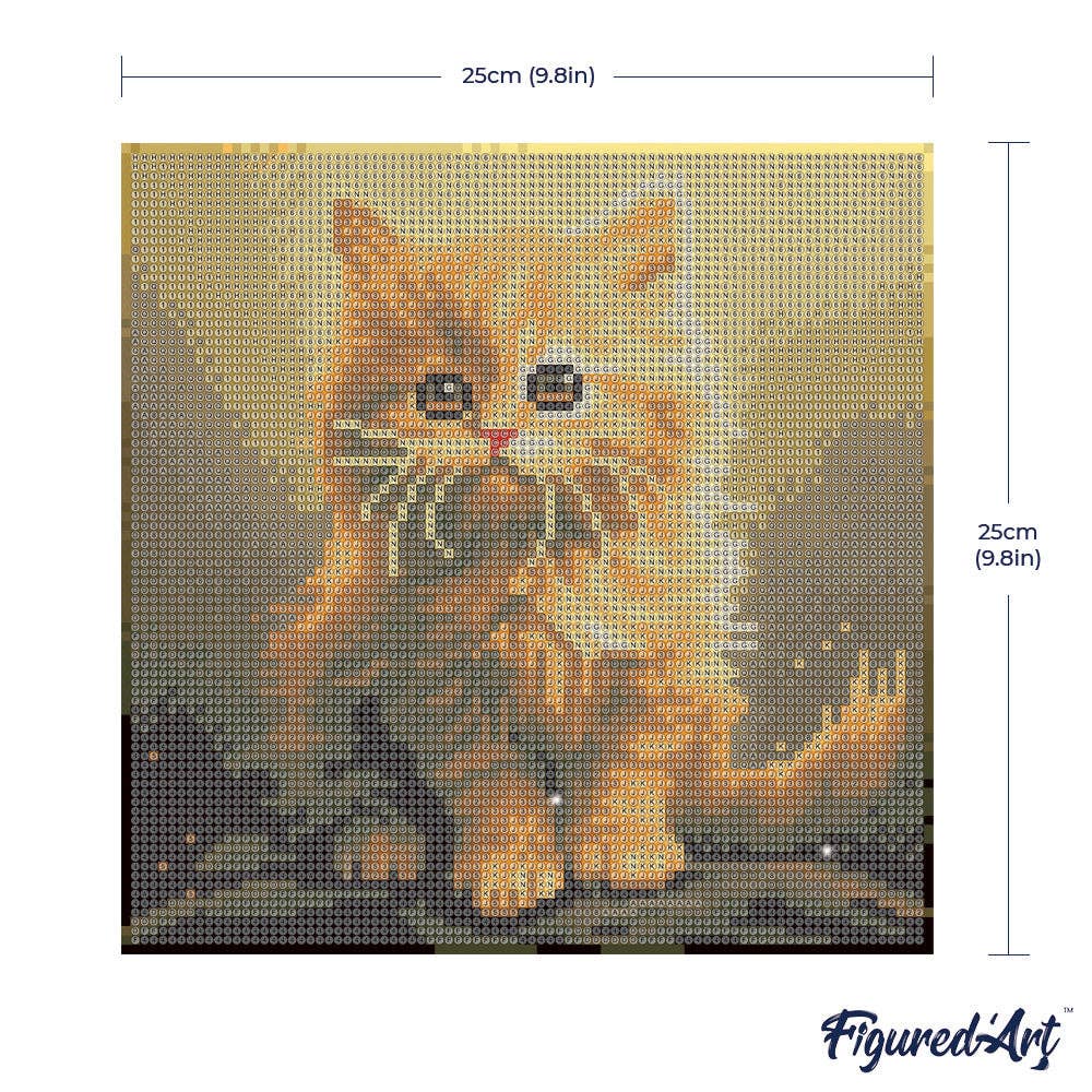 Kit de Punto Diamante Figured’Art "Gato Naranja" (Lienzo con Bastidor 25×25 cm)