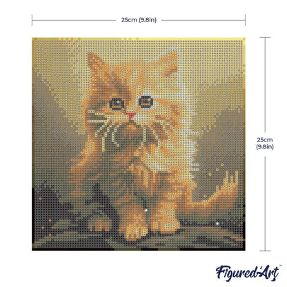 Kit de Punto Diamante Figured’Art "Gato Naranja" (Lienzo con Bastidor 25×25 cm)