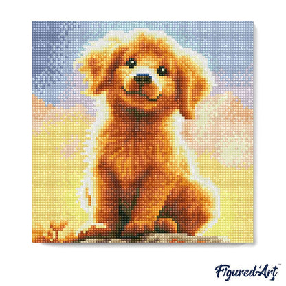 Kit de Punto Diamante Figured’Art "Cachorro de Golden Retriever" (Lienzo con Bastidor 25×25 cm)