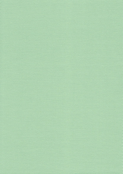 Tela Zweigart Aida Extra Fina 20ct color 6092 Verde Bambú para punto de cruz, algodón 100% vendida por metros, colección primavera Zweigart 2026.