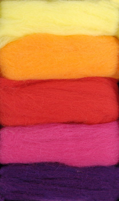 Set Lanas Cardadas para Fieltrar DMC "Vitaminas" - 5 Colores