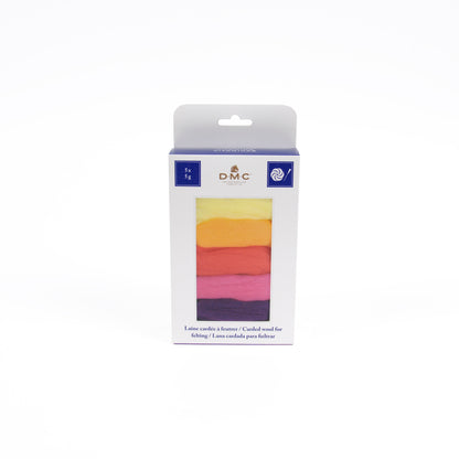 Set Lanas Cardadas para Fieltrar DMC "Vitaminas" - 5 Colores