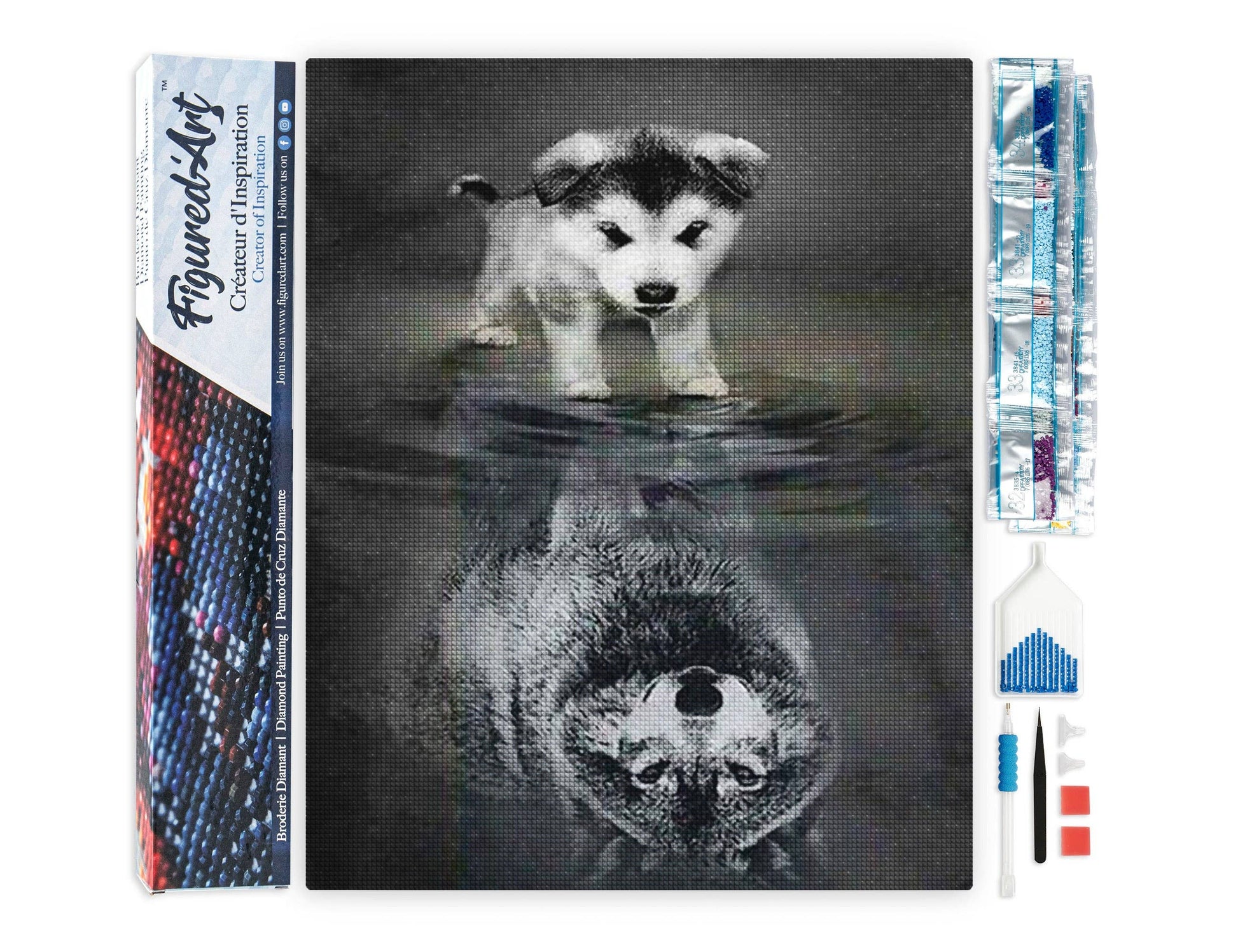 Kit de punto diamante Figured’Art Reflejo de perro y lobo 40x50 cm con diseño animal y reflejo simbólico.