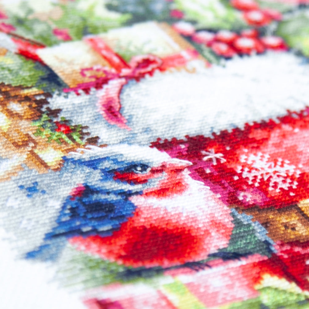 Kit de Punto de Cruz 