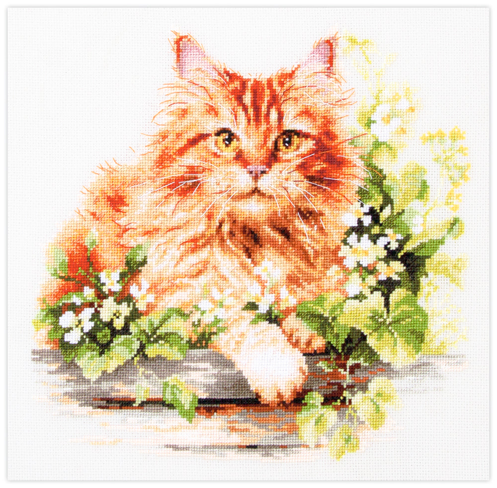 Kit de punto de cruz Magic Needle “Gato Naranja” con diseño de gato anaranjado. Incluye tela Aida blanca, hilos de algodón y aguja.