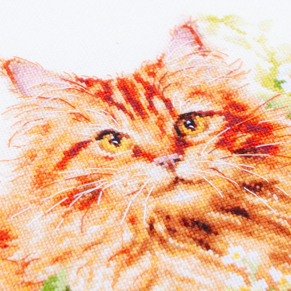 Kit de Punto de Cruz "Gato Naranja" 70-22 Magic Needle
