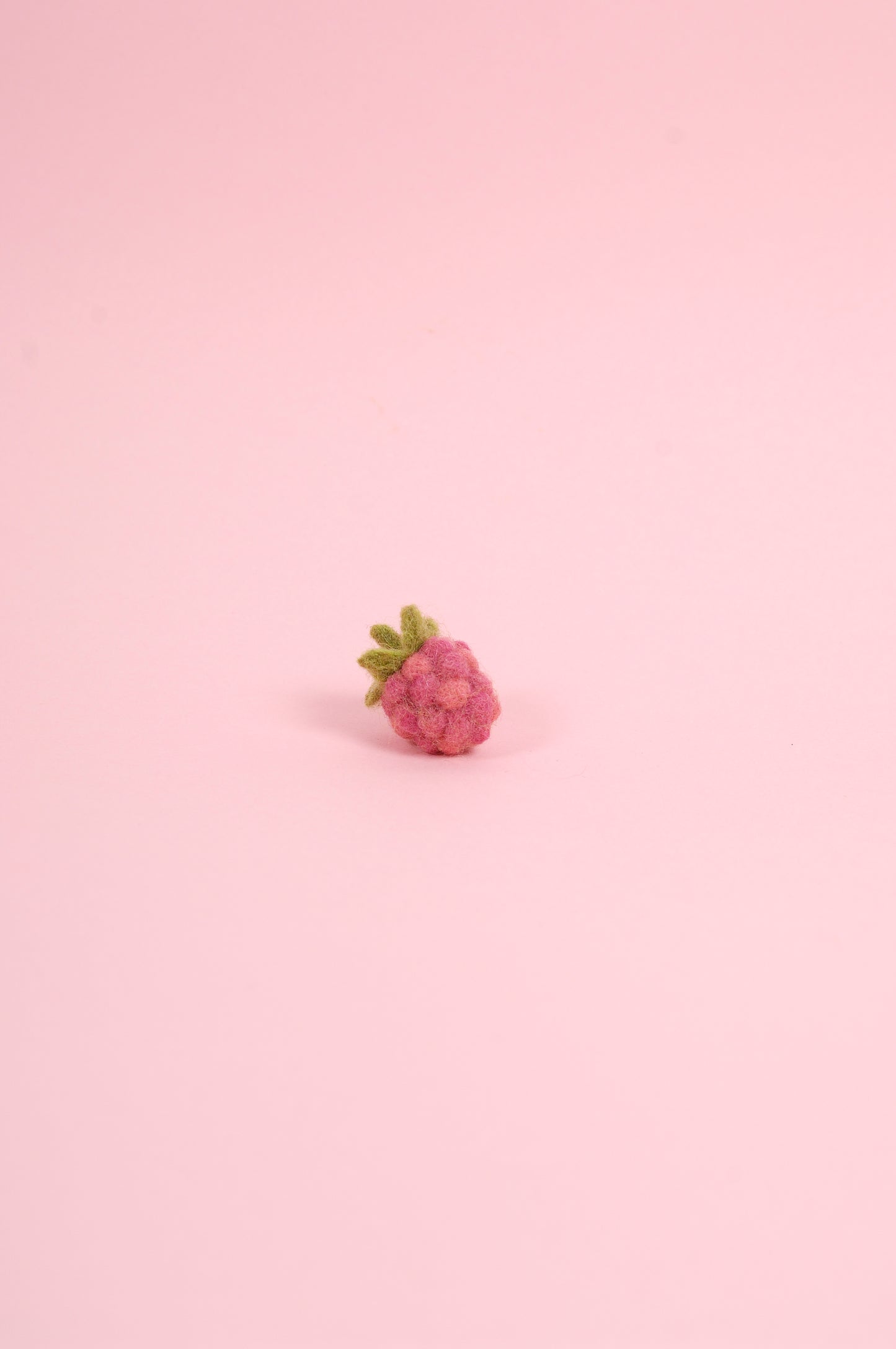 Libro de Inspiración para Fieltrar "Cesta de Frutas" - DMC