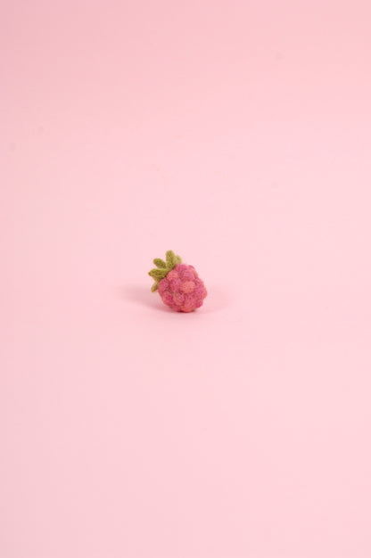 Libro de Inspiración para Fieltrar "Cesta de Frutas" - DMC