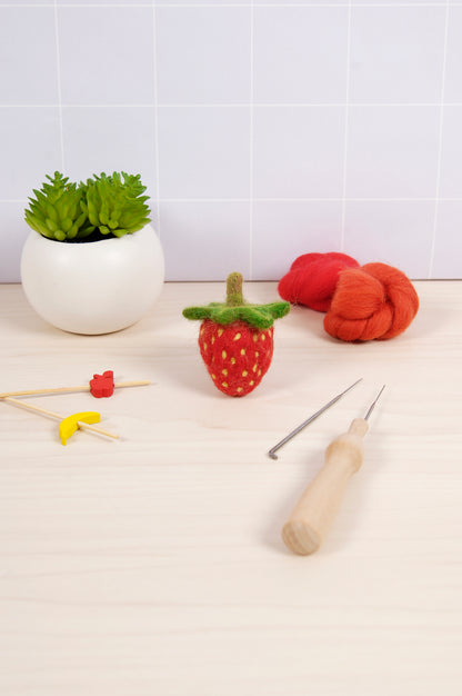 Libro de Inspiración para Fieltrar "Cesta de Frutas" - DMC