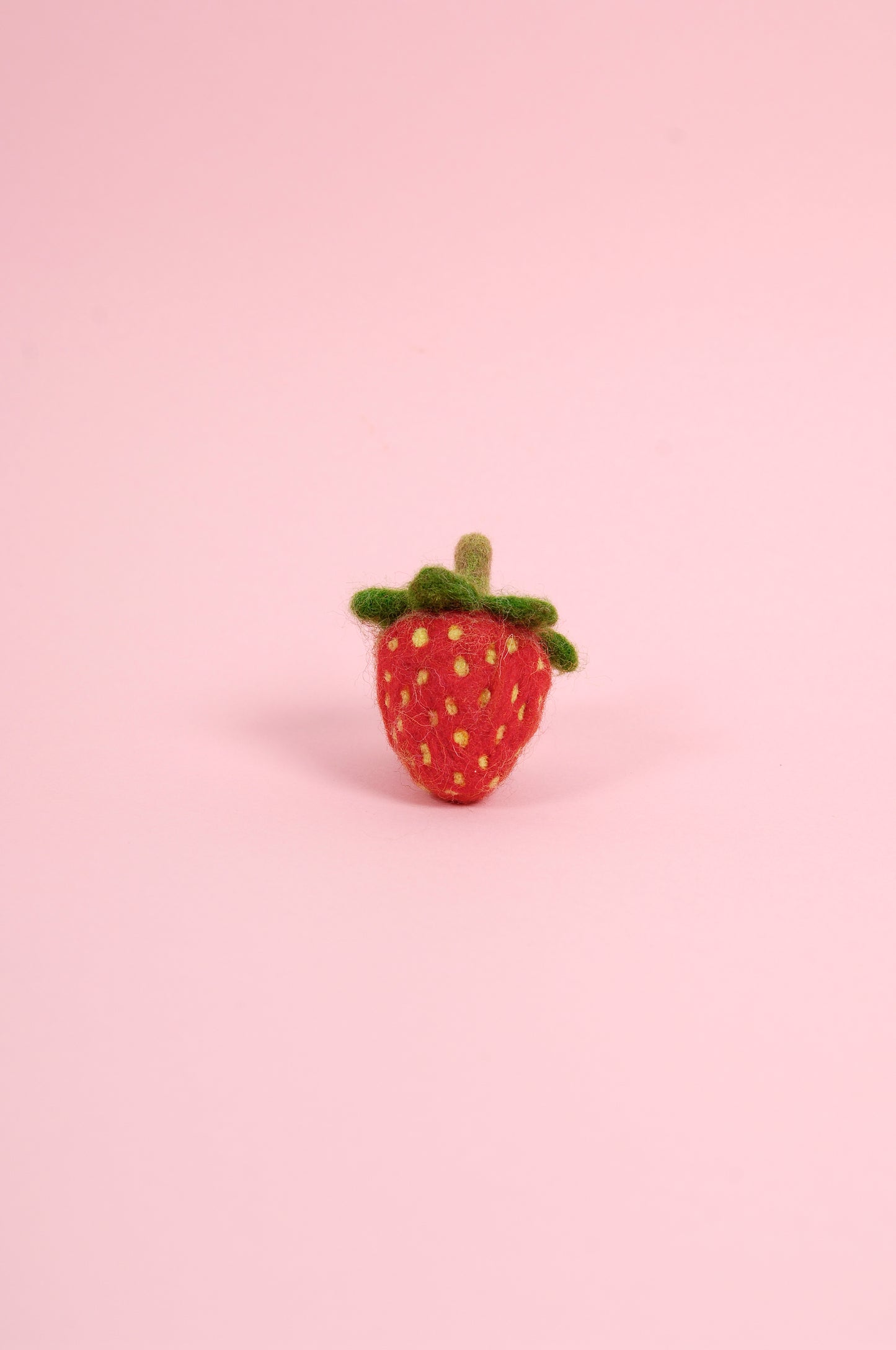 Libro de Inspiración para Fieltrar "Cesta de Frutas" - DMC