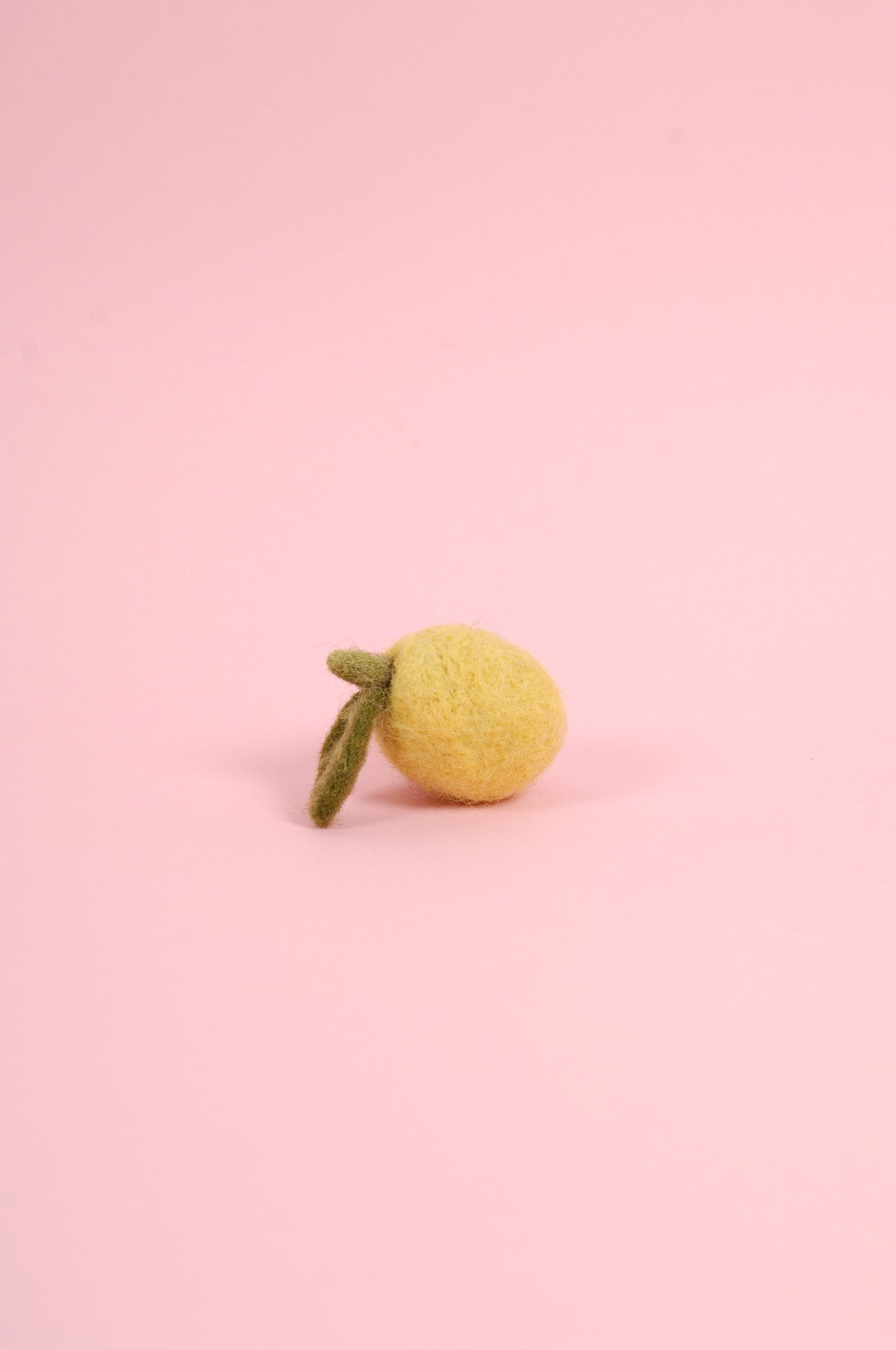 Libro de Inspiración para Fieltrar "Cesta de Frutas" - DMC