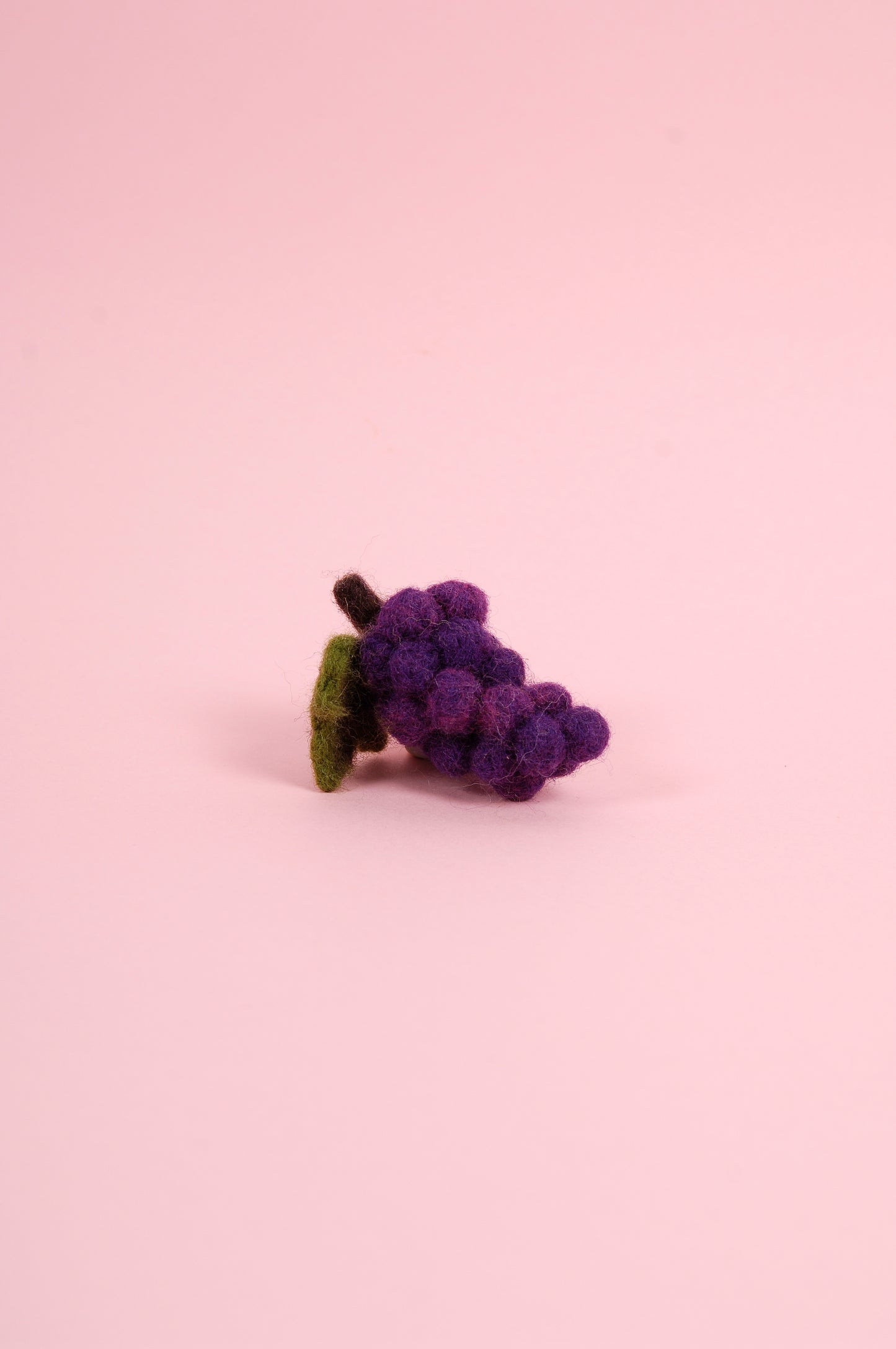 Libro de Inspiración para Fieltrar "Cesta de Frutas" - DMC