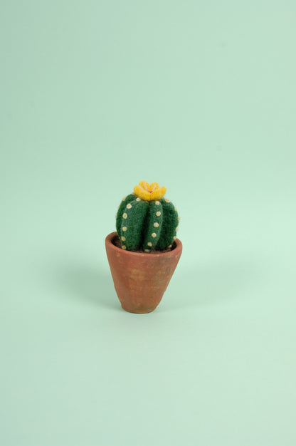 Libro de Inspiración para Fieltrar "Cactus y suculentas" - DMC