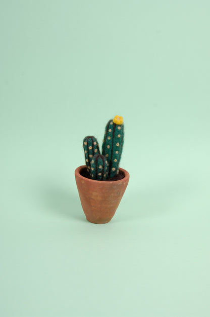 Libro de Inspiración para Fieltrar "Cactus y suculentas" - DMC
