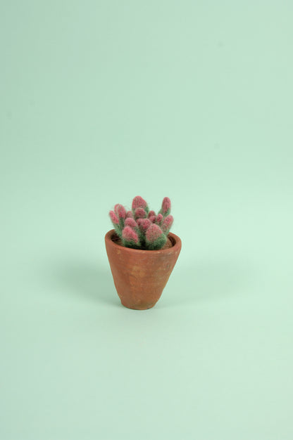 Libro de Inspiración para Fieltrar "Cactus y suculentas" - DMC
