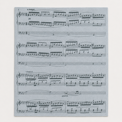 Tela Aida impresa precortada Partitura Musical de Loisirs Créatifs en formato 30x40 cm con estampado de pentagramas y notas.