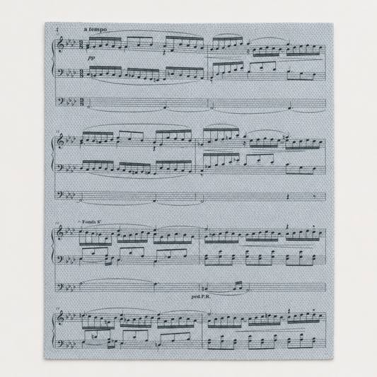 Tela Aida impresa precortada Partitura Musical de Loisirs Créatifs en formato 30x40 cm con estampado de pentagramas y notas.