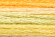 Anchor - Mouliné Multicolor - 1304