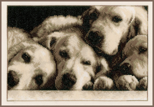 Kreuzstichset „Labradors“ – PN0154541
