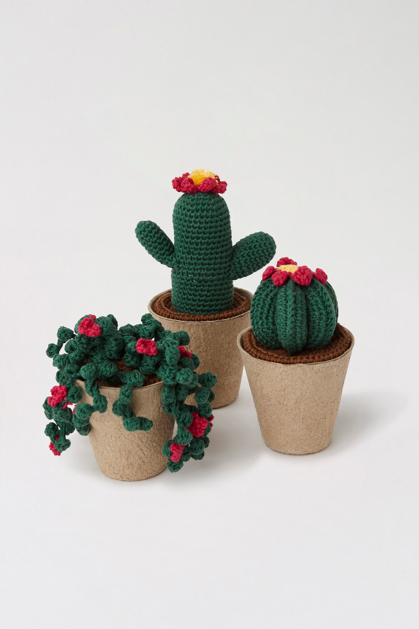 Colección de Cactus de Amigurumi DMC - CR107K