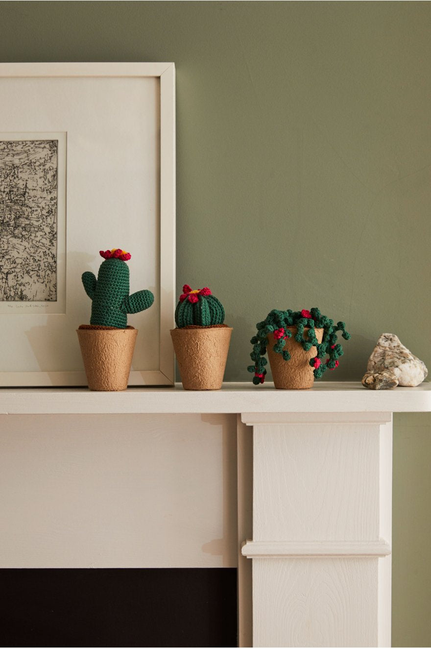 Colección de Cactus de Amigurumi DMC - CR107K
